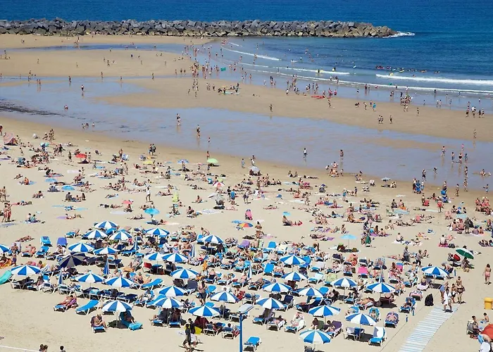 Always Easy I San Francisco San Sebastián